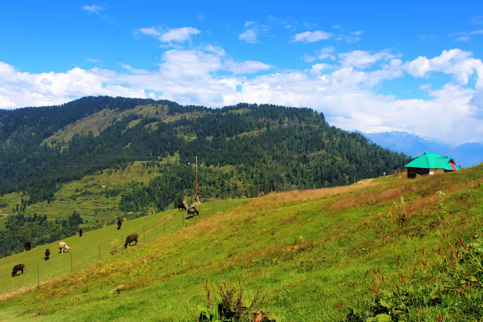 Photo of Parashar Lake, D.P.F. Parashar Dhar, Himachal Pradesh by Abhinaw Chauhan