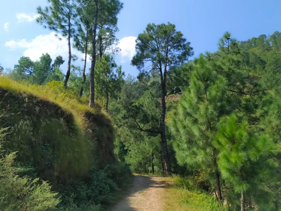 Photo of Dhokaney: The Hidden Waterfall of Kumaon by Abhinaw Chauhan