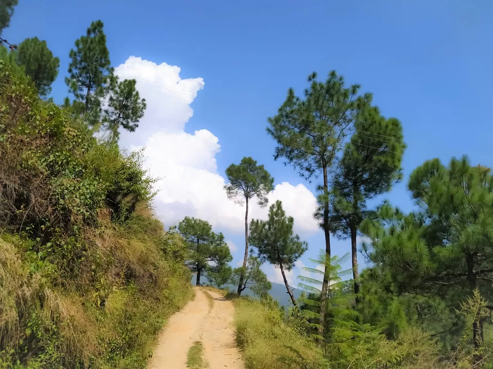 Photo of Dhokaney: The Hidden Waterfall of Kumaon by Abhinaw Chauhan