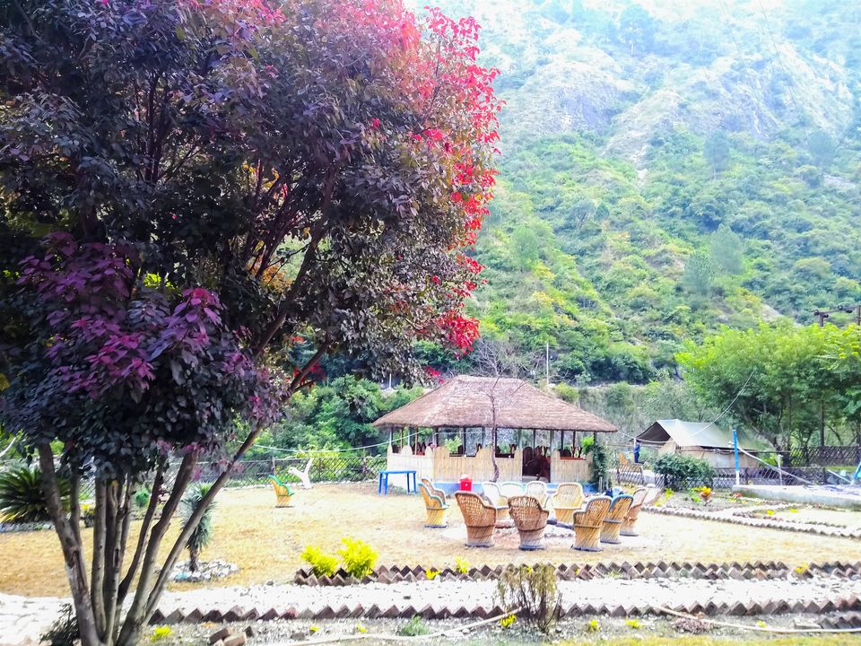Photo of Dhokaney: The Hidden Waterfall of Kumaon by Abhinaw Chauhan