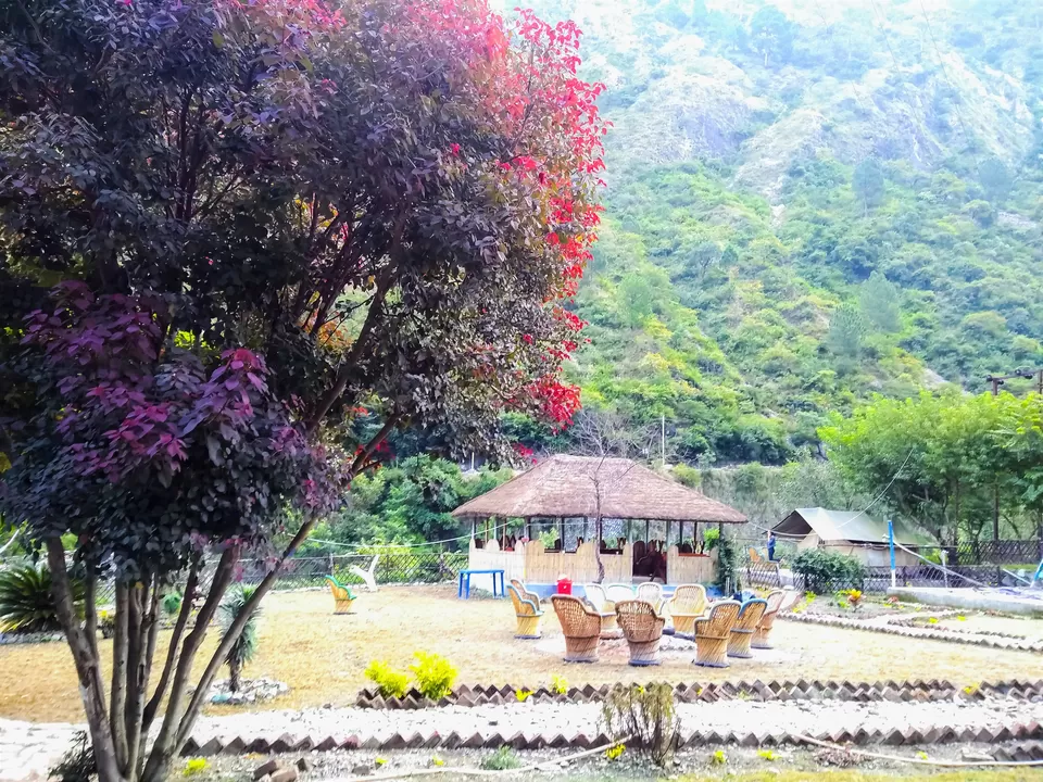 Photo of Dhokaney: The Hidden Waterfall of Kumaon by Abhinaw Chauhan