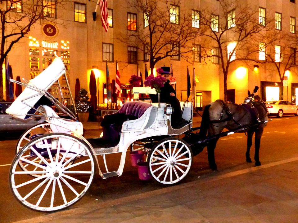 Photo of New York- The Big Apple City 6/22 by Ishani Pahwa