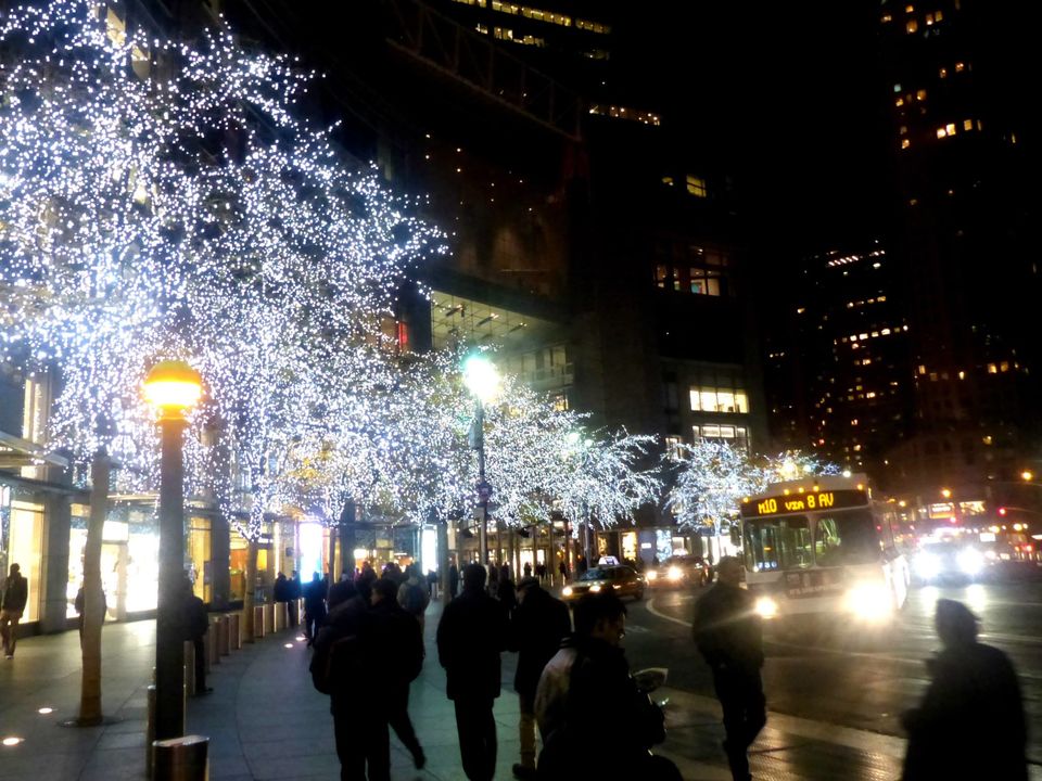 Photo of New York- The Big Apple City 11/22 by Ishani Pahwa