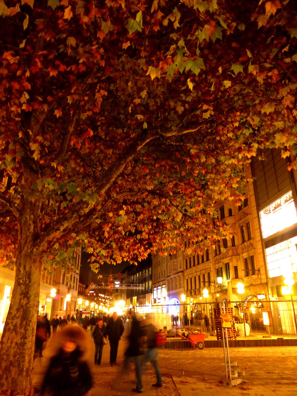 Photo of München- The Bavarian city! 6/11 by Ishani Pahwa