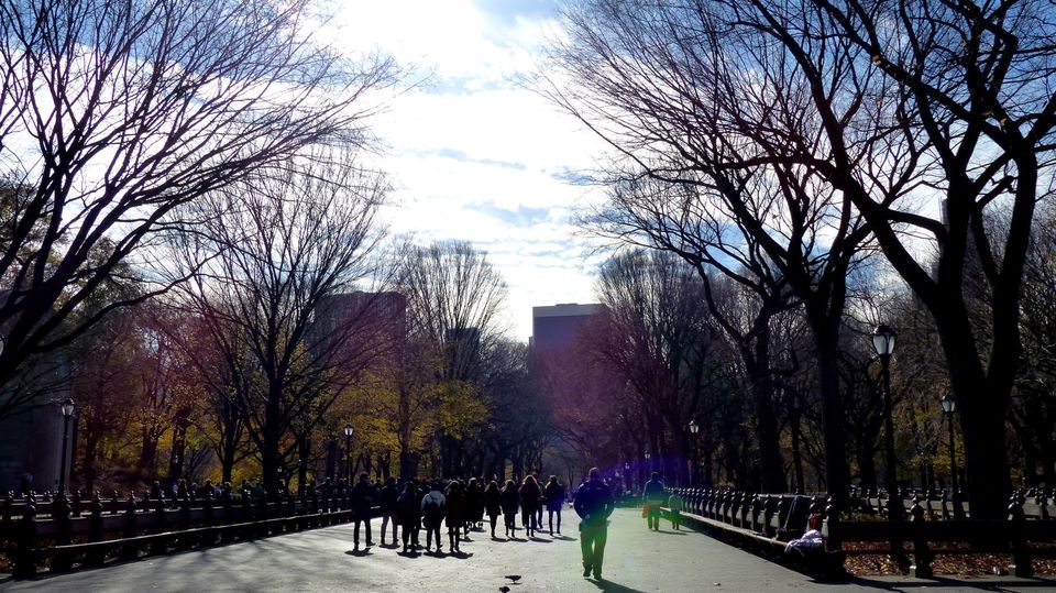 Photo of New York- The Big Apple City 15/22 by Ishani Pahwa