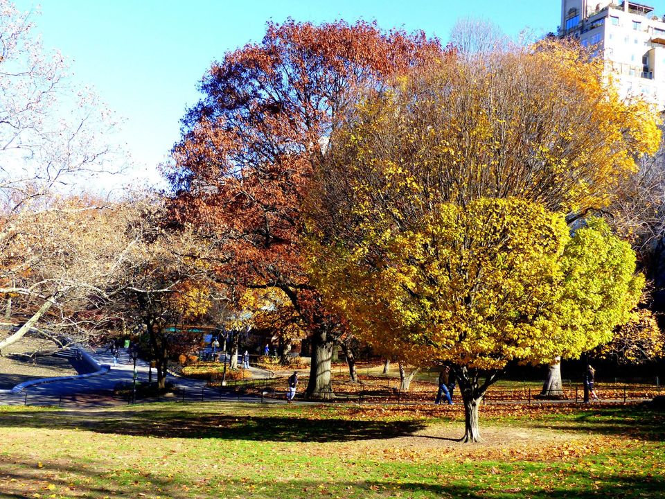 Photo of New York- The Big Apple City 10/22 by Ishani Pahwa