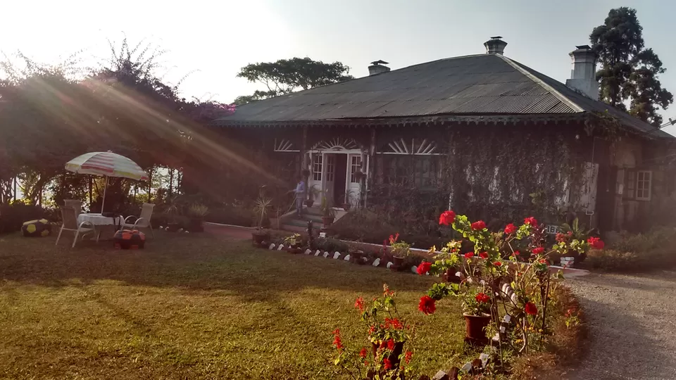 Photo of Singtom Tea Estate & Resort, Darjeeling, West Bengal, India by Ishani Pahwa