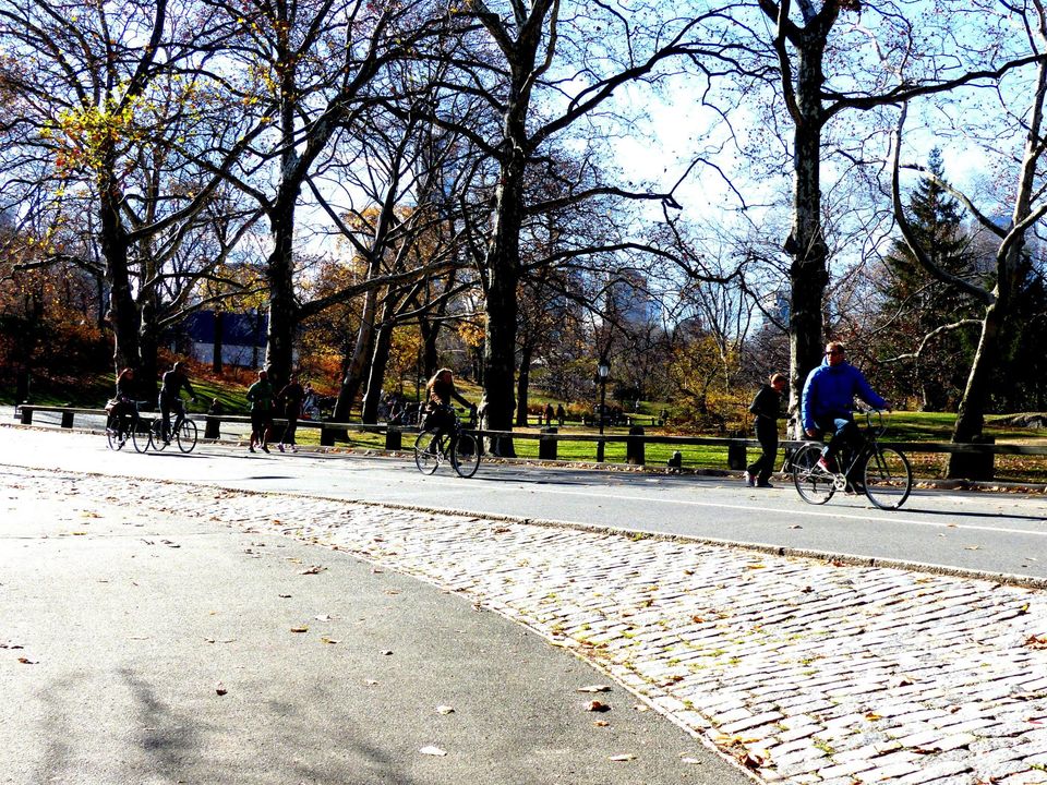 Photo of New York- The Big Apple City 12/22 by Ishani Pahwa