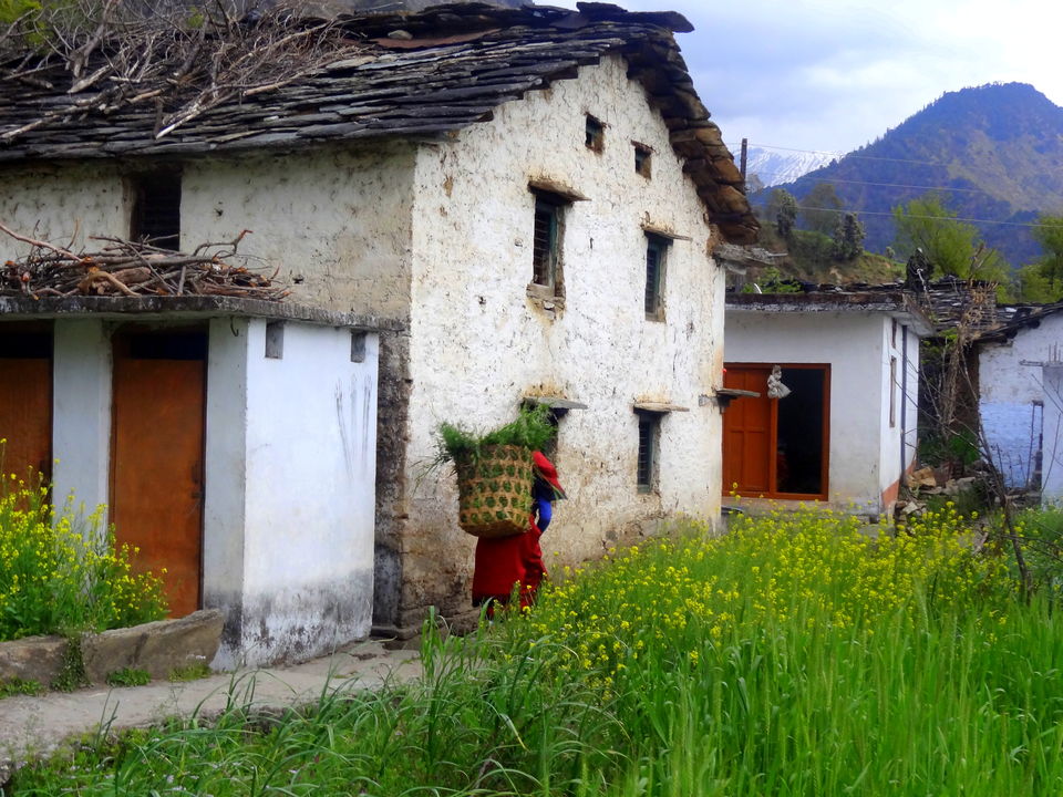 Photo of Sari village.. the educated one.. 11/18 by Ishani Pahwa