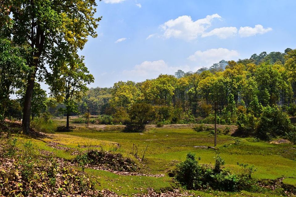 Photo of Trip to Northern Chhattisgarh: Jashpur 5/7 by Sanchit Soni