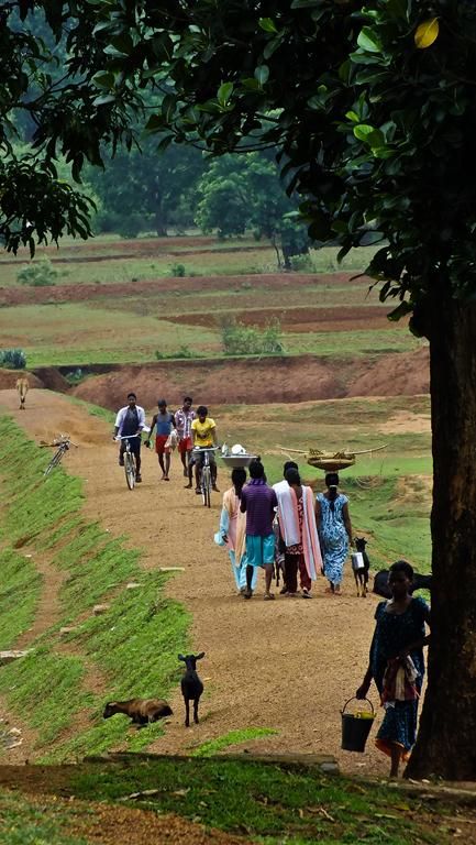 Photo of Trip to Northern Chhattisgarh: Jashpur 7/7 by Sanchit Soni