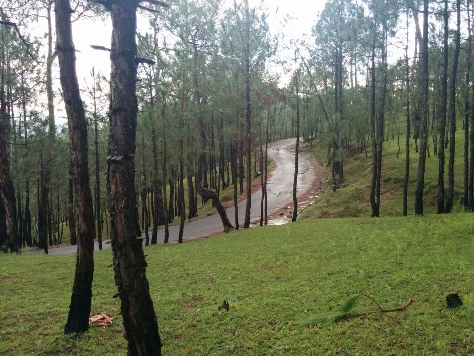 Photo of Almora & Dhaulchina - a picturesque travel place 10/12 by Vikrant Dhawan