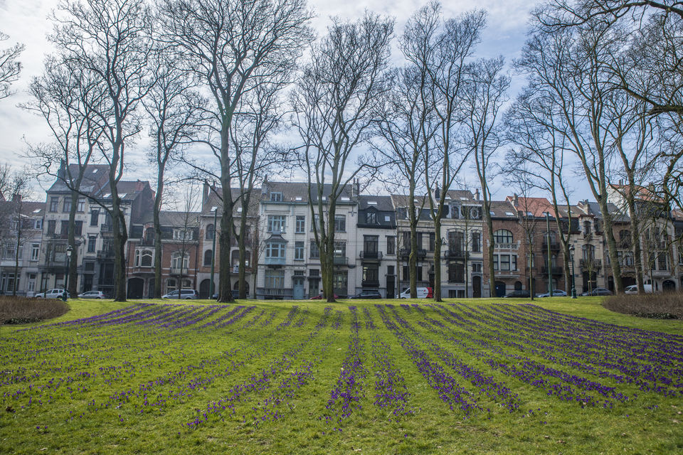 Photo of Brussels- City of Churches 11/39 by Freddie Jazz