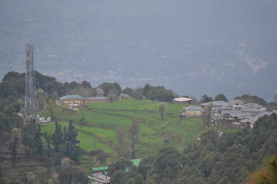 Photo of Dharamshala: Paradise in the hills!!! 3/41 by Freddie Jazz