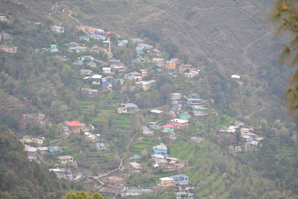 Photo of Dharamshala: Paradise in the hills!!! 4/41 by Freddie Jazz