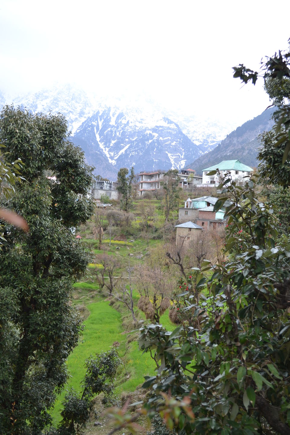 Photo of Dharamshala: Paradise in the hills!!! 7/41 by Freddie Jazz