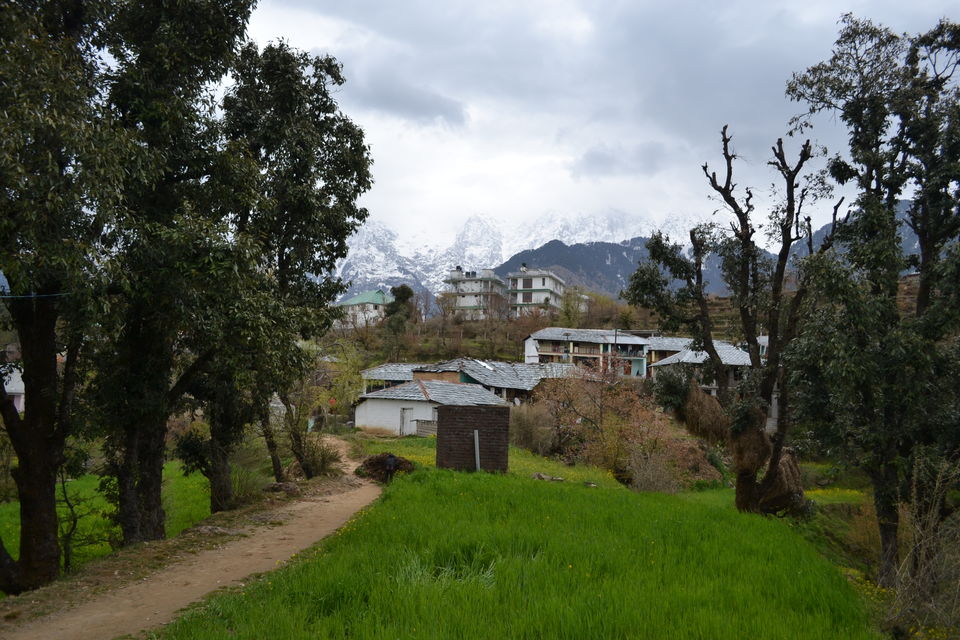 Photo of Dharamshala: Paradise in the hills!!! 10/41 by Freddie Jazz