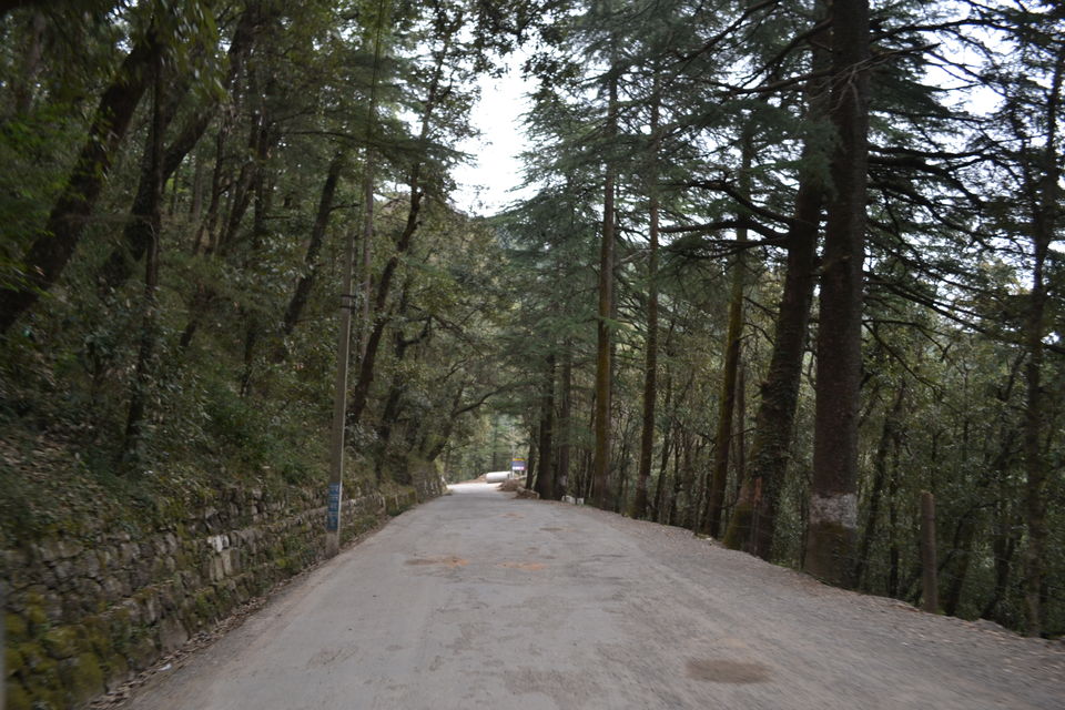 Photo of Dharamshala: Paradise in the hills!!! 11/41 by Freddie Jazz