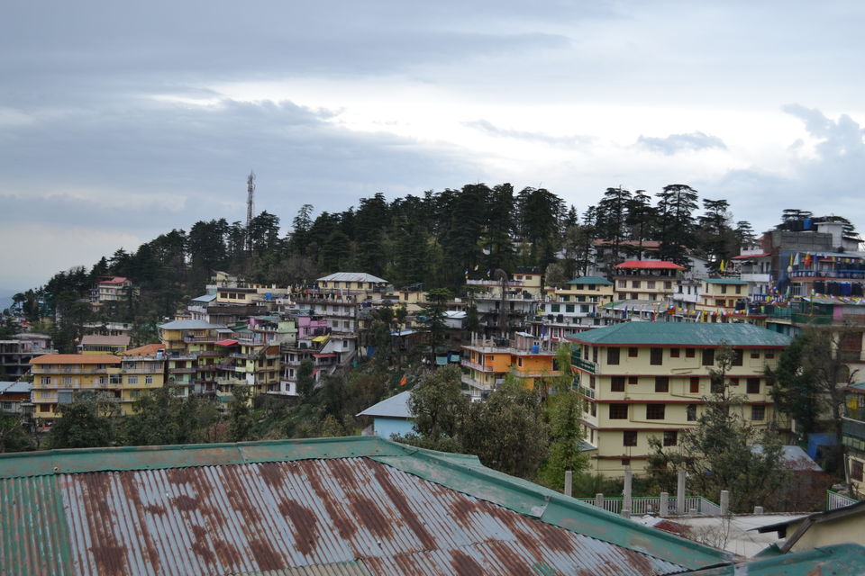 Photo of Dharamshala: Paradise in the hills!!! 15/41 by Freddie Jazz