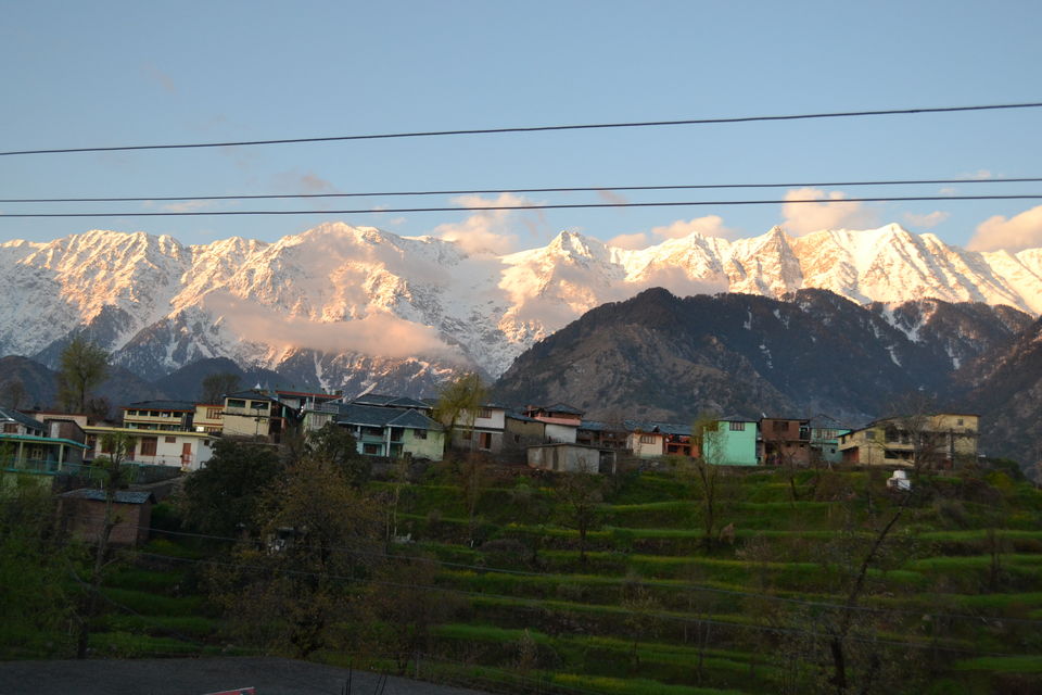 Photo of Dharamshala: Paradise in the hills!!! 22/41 by Freddie Jazz