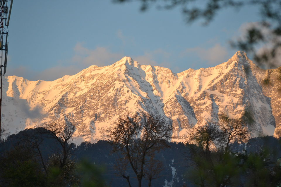 Photo of Dharamshala: Paradise in the hills!!! 23/41 by Freddie Jazz