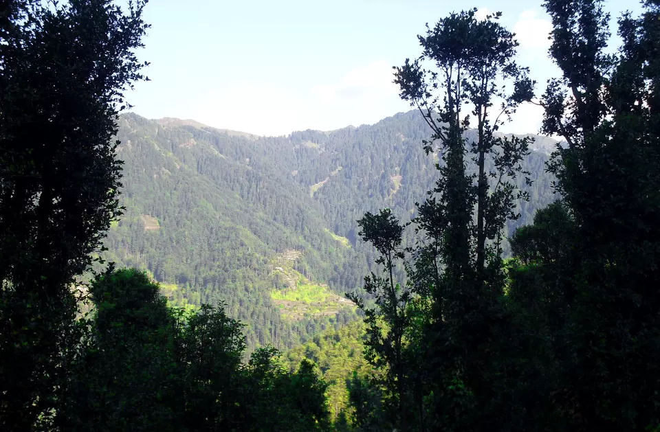 Photo of Patnitop by Anustha Kishor