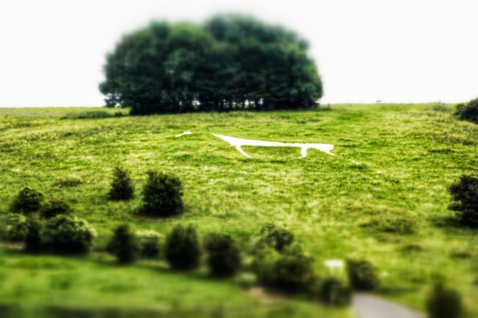 Photo of Avebury Neolithic Stones & Cherhill White Horse 2/27 by Anne Klien