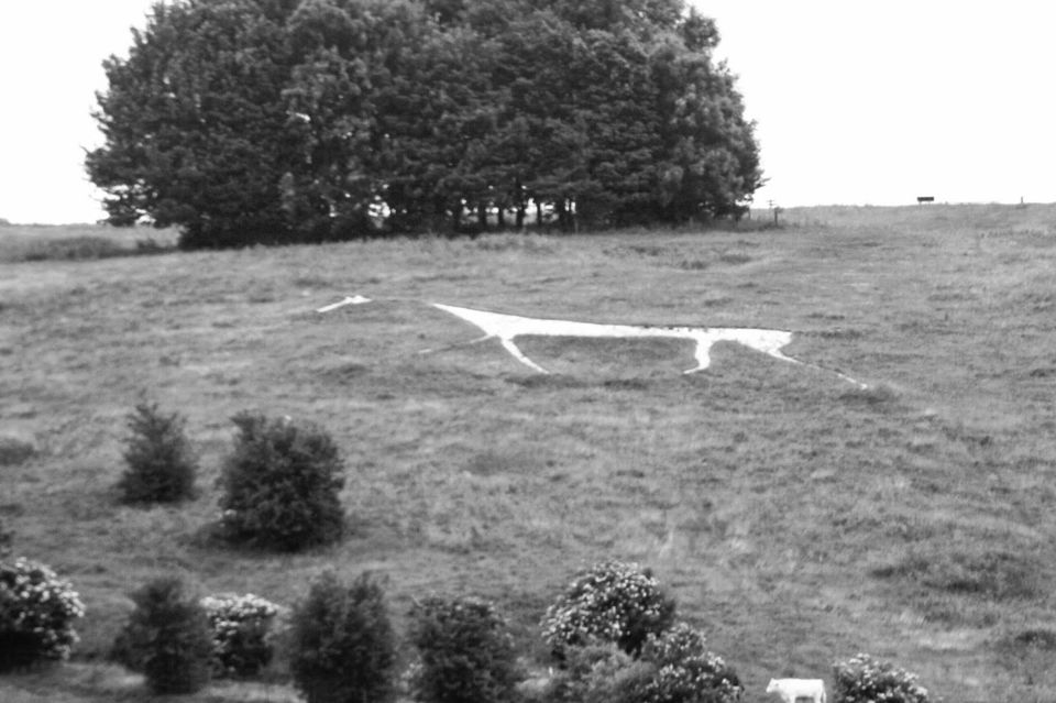 Photo of Avebury Neolithic Stones & Cherhill White Horse 3/27 by Anne Klien