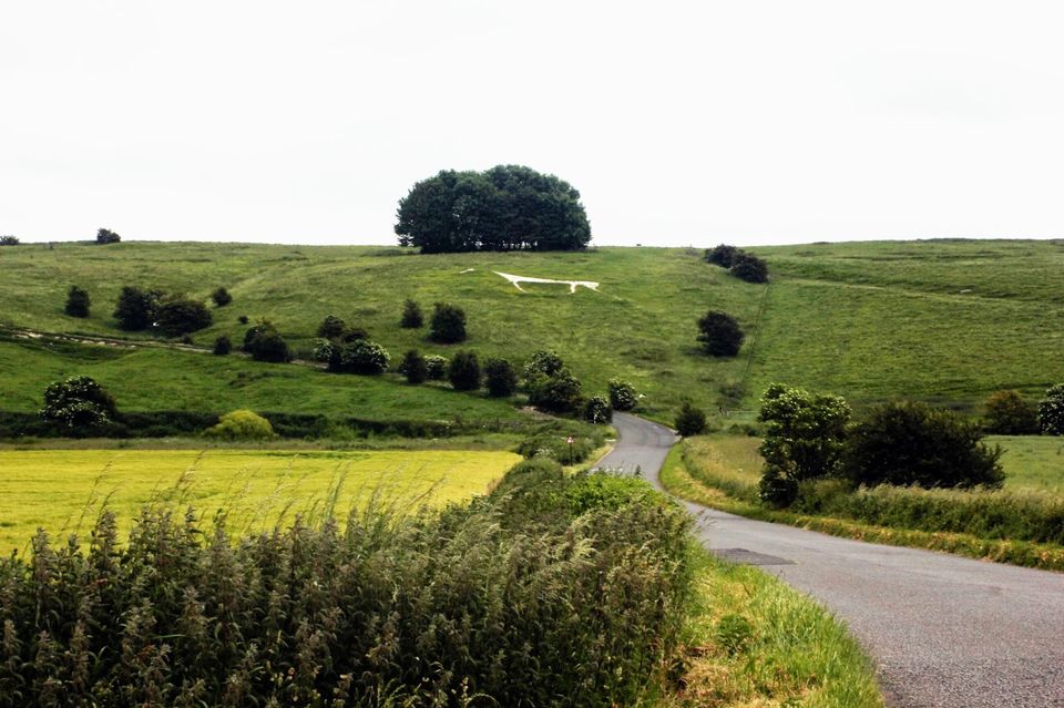 Photo of Avebury Neolithic Stones & Cherhill White Horse 4/27 by Anne Klien