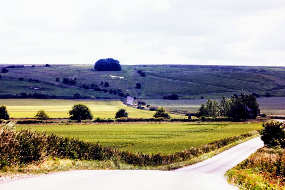 Photo of Avebury Neolithic Stones & Cherhill White Horse 7/27 by Anne Klien