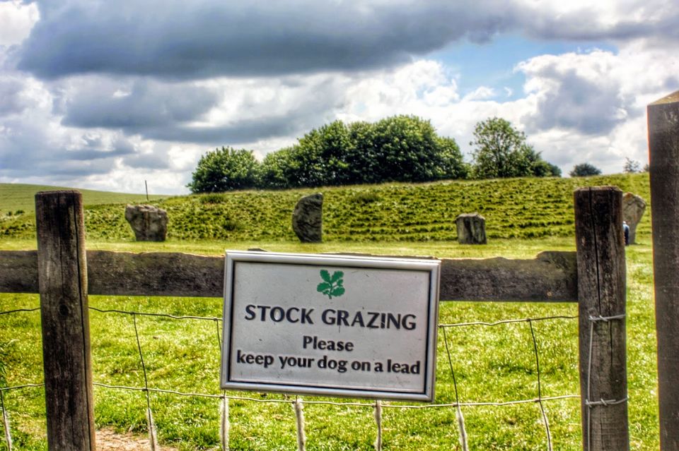 Photo of Avebury Neolithic Stones & Cherhill White Horse 18/27 by Anne Klien