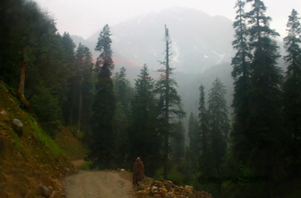 Photo of Charismatic Kashmir 36/71 by Soumya Khurana