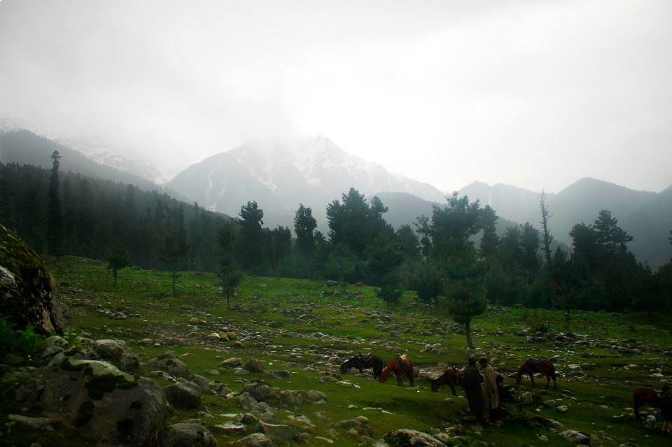 Photo of Charismatic Kashmir 47/71 by Soumya Khurana