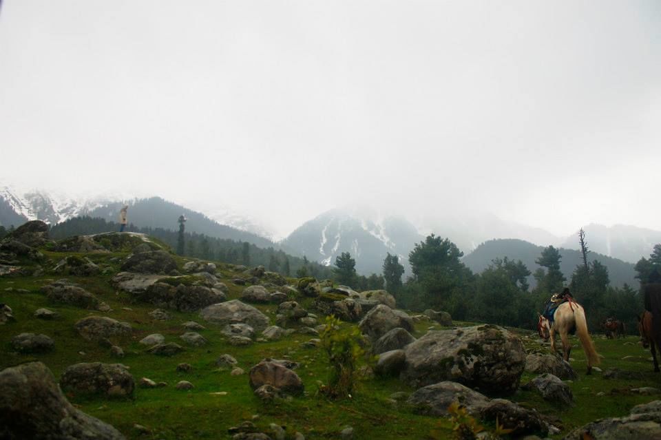 Photo of Charismatic Kashmir 48/71 by Soumya Khurana