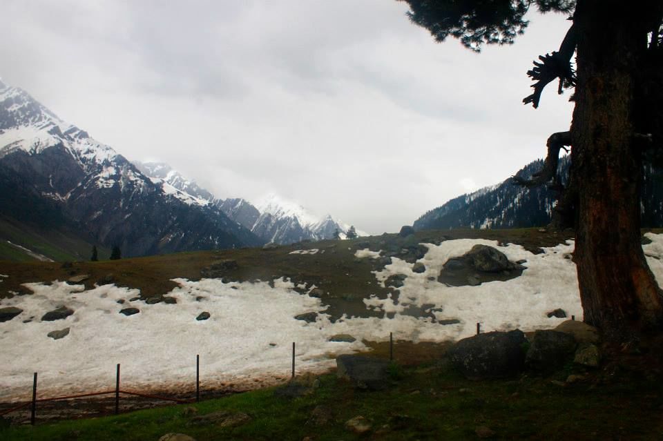 Photo of Charismatic Kashmir 22/71 by Soumya Khurana