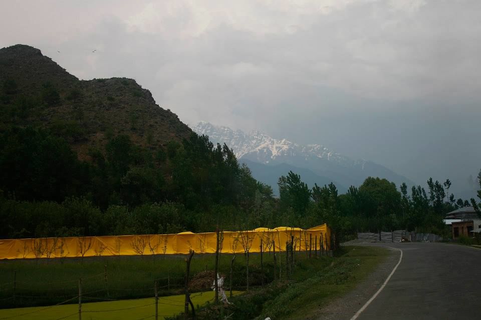 Photo of Charismatic Kashmir 54/71 by Soumya Khurana