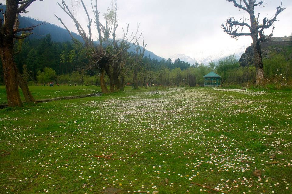 Photo of Charismatic Kashmir 31/71 by Soumya Khurana