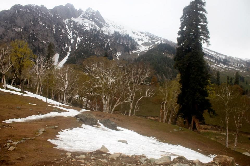 Photo of Charismatic Kashmir 27/71 by Soumya Khurana