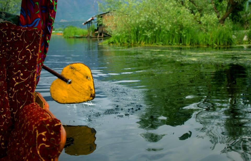 Photo of Charismatic Kashmir 12/71 by Soumya Khurana