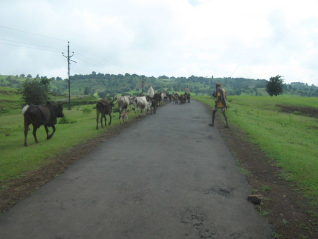 Photo of HEAVEN BENEATH EARTH: PATALKOT 3/6 by Ishani