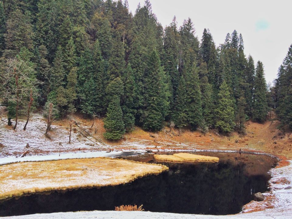 Photo of Kedarkantha Trek: A Journey That Transformed Me 2/6 by Ishani