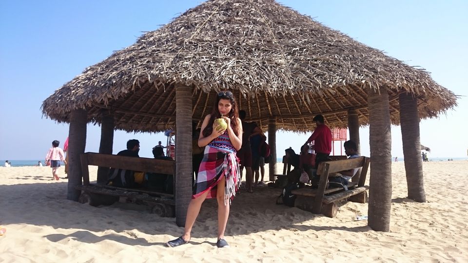 Photo of Paradise beach, Pudukuppam, Puducherry, India by Harsh Agrawal