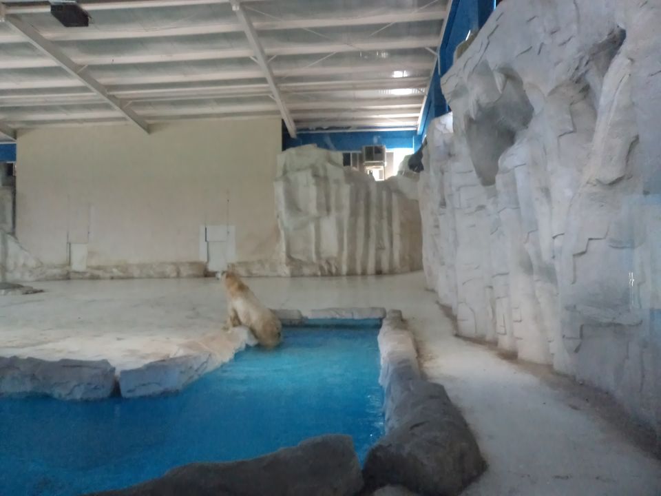 Photo of Beijing Zoo, Zoo, Xicheng, China by Harsh Agrawal