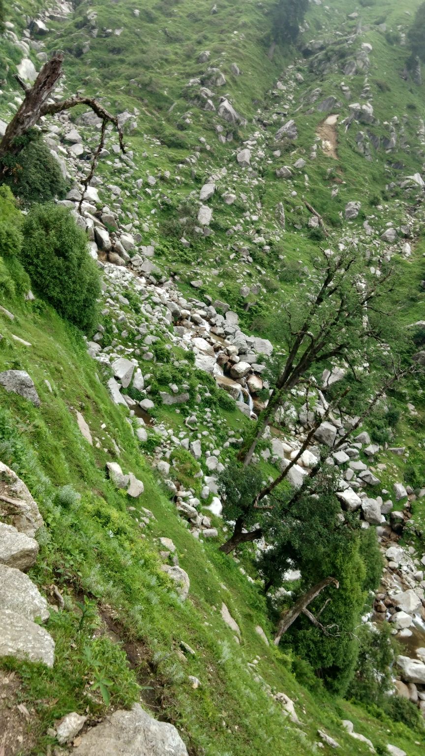 Photo of Kareri Lake trek by Mohan Bhatti