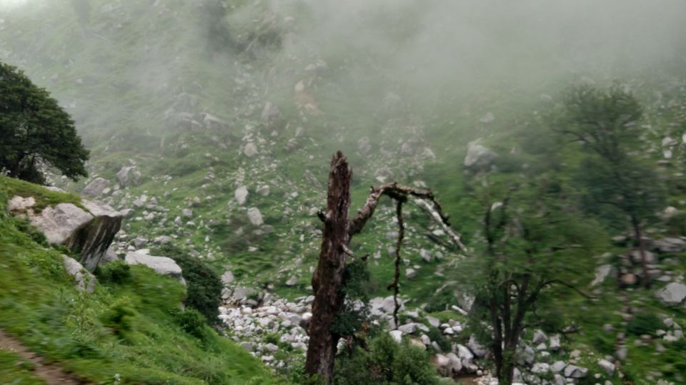 Photo of Kareri Lake trek by Mohan Bhatti