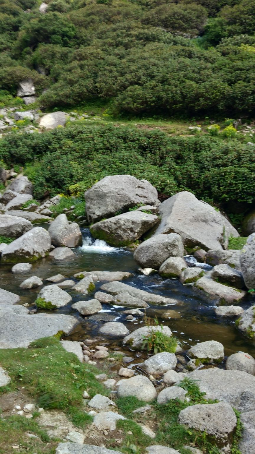 Photo of Kareri Lake trek by Mohan Bhatti