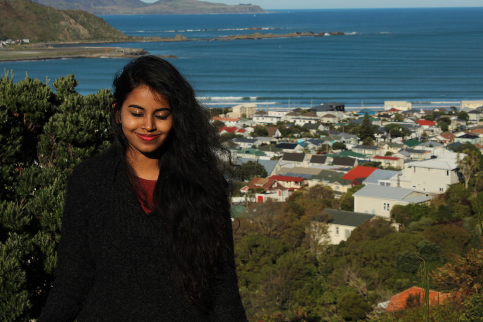 Photo of Wellington Harbour by Ipsita Biti