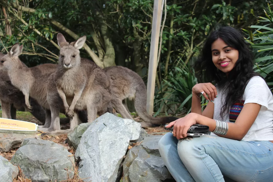 Photo of Wellington Zoo, Daniell Street, Wellington, New Zealand by Ipsita Biti