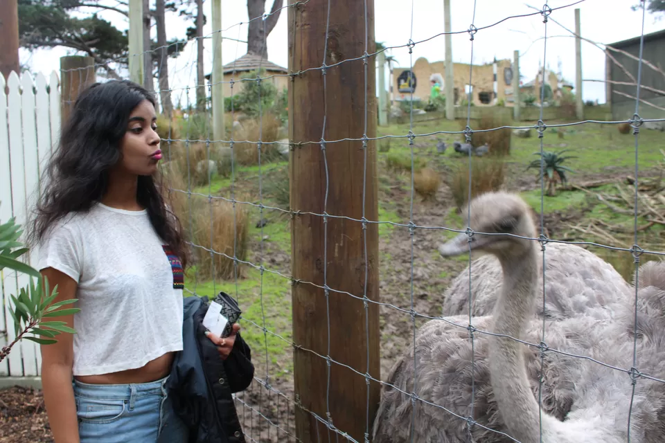 Photo of Wellington Zoo, Daniell Street, Wellington, New Zealand by Ipsita Biti
