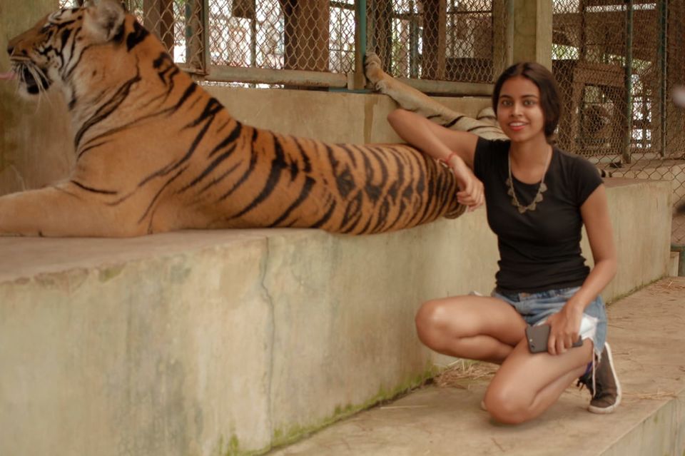 Photo of Tiger Kingdom, ถนน แม่ริม - สะเมิง Rim Tai, Mae Rim District, Chiang Mai, Thailand by Ipsita Biti
